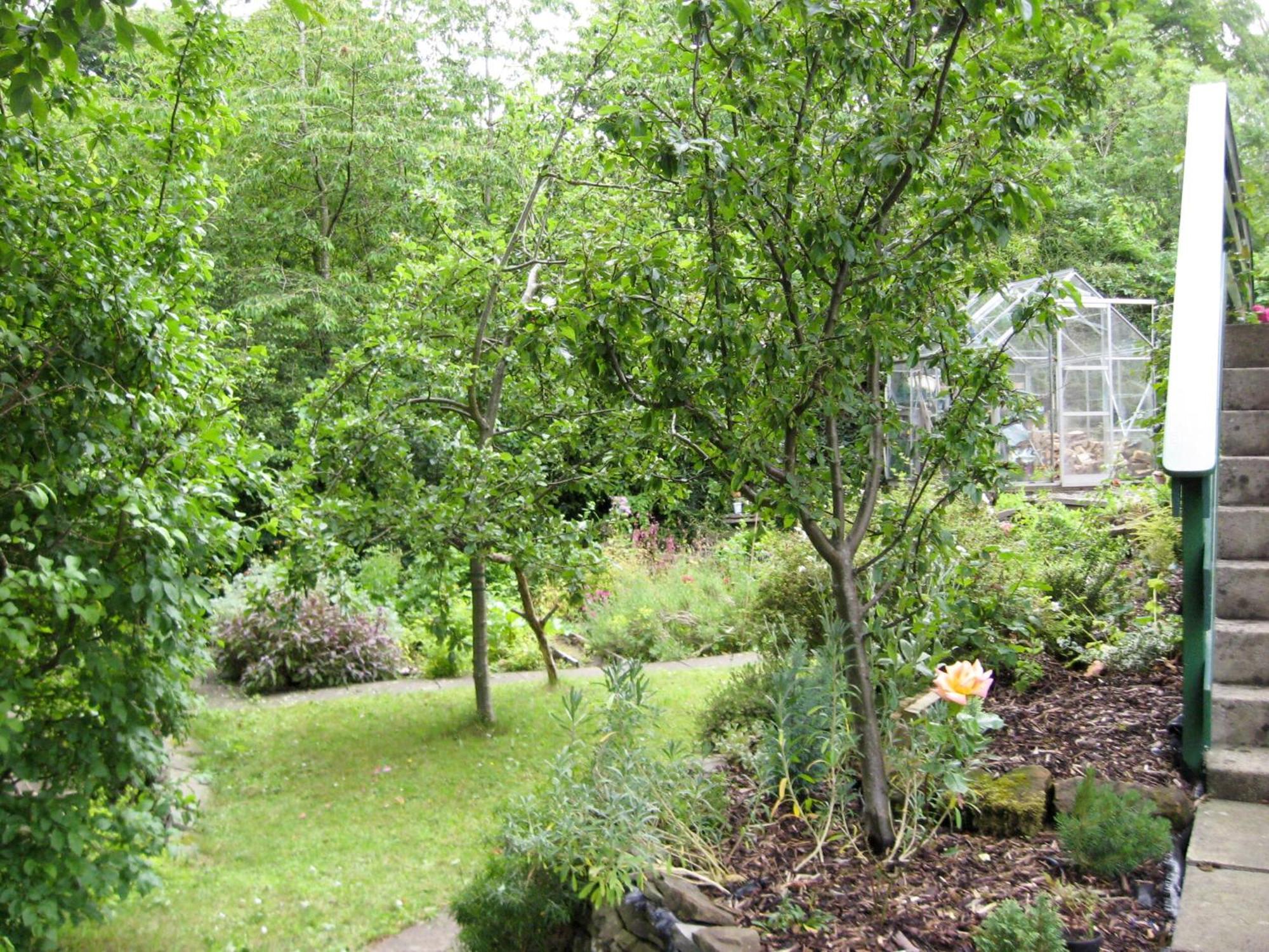 Burnside Villa St Andrews Exterior foto